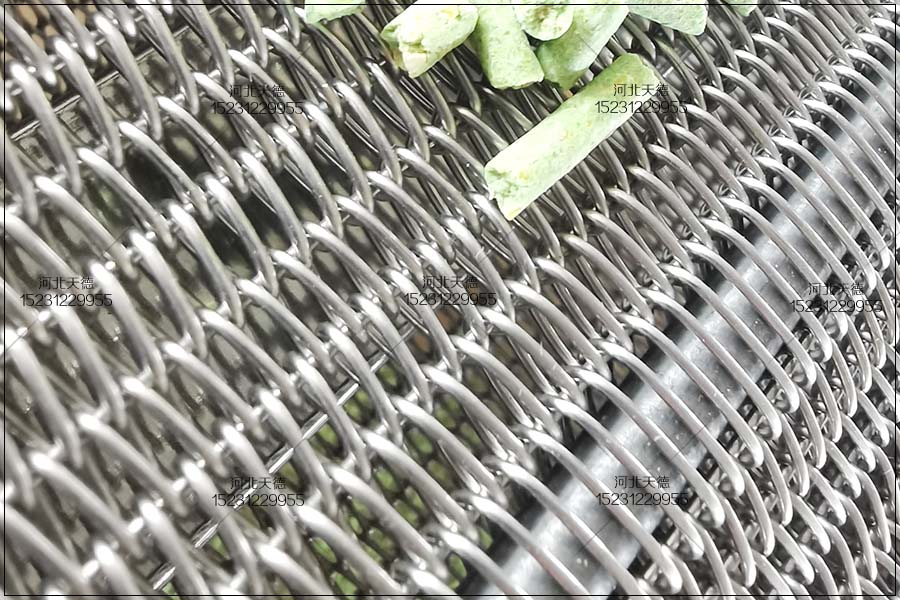 網(wǎng)狀寬幅鏈條輸送帶